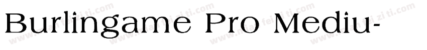Burlingame Pro Mediu字体转换